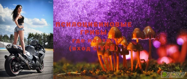 PSILOCYBIN Зеленодольск